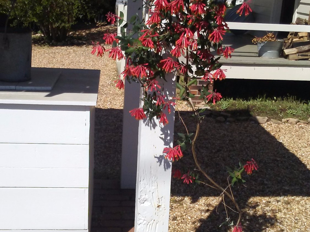 William Root House-玛丽埃塔必去景点