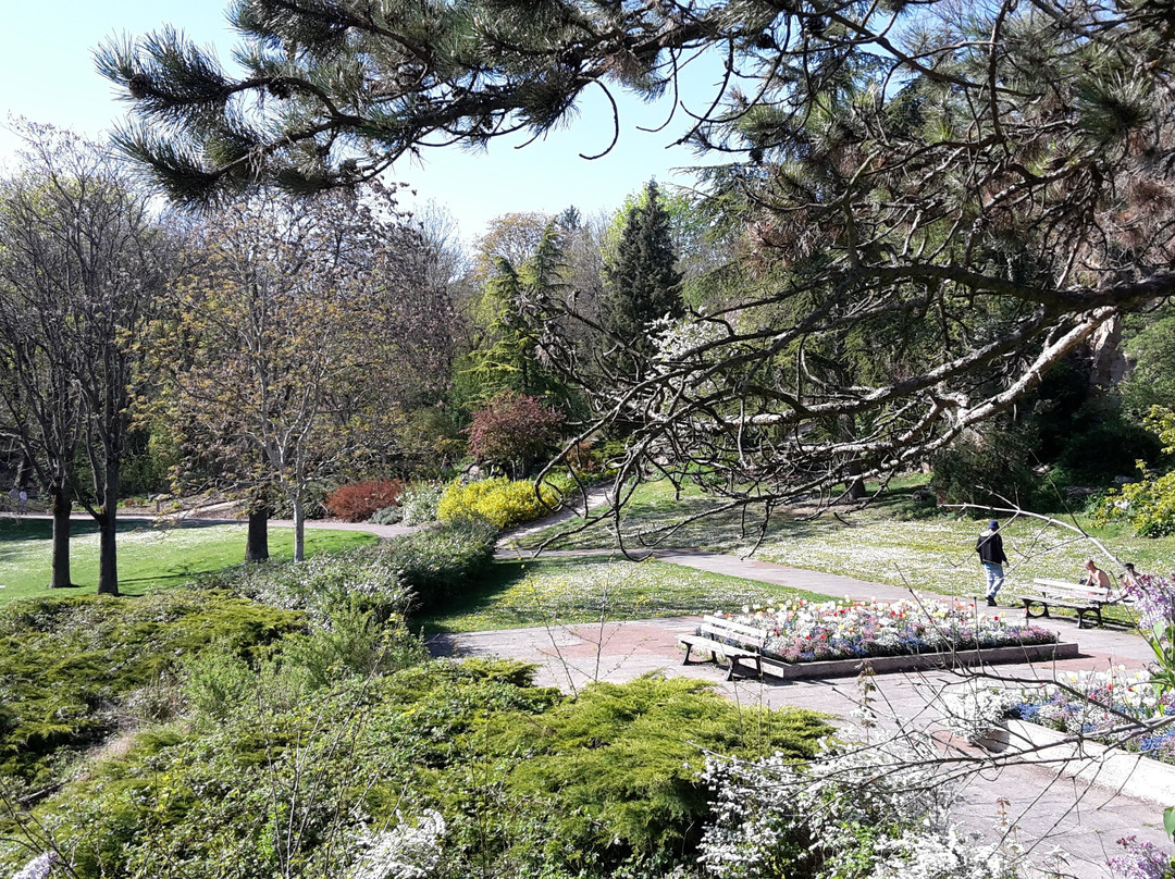 Parc des Carrières Bacquin-第戎必去景点