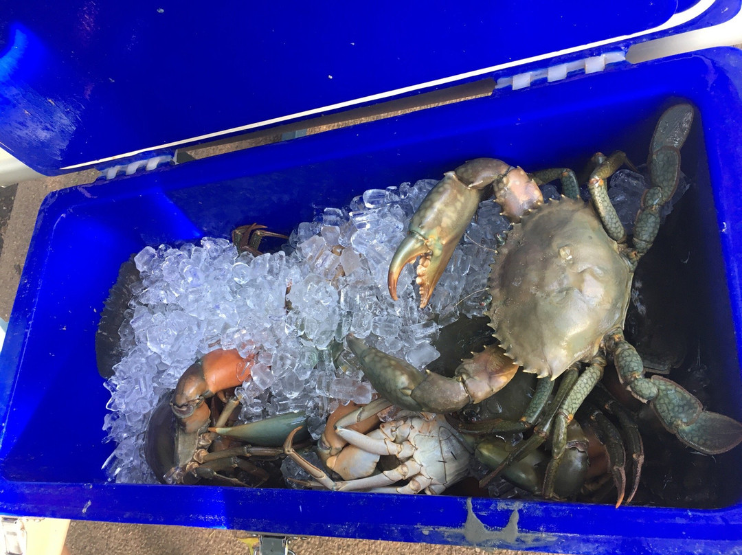 Shoal Bay Sport Fishing Tours-达尔文市必去景点