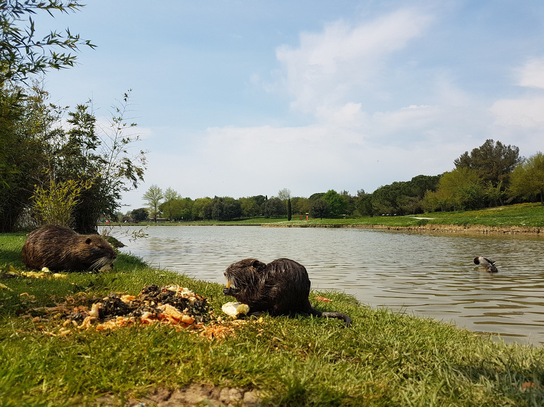 Parco di Serravalle-恩波利必去景点