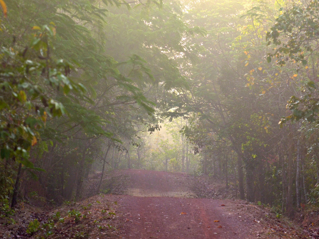 Chandaka-Dampada Wildlife Sanctuary景点图片