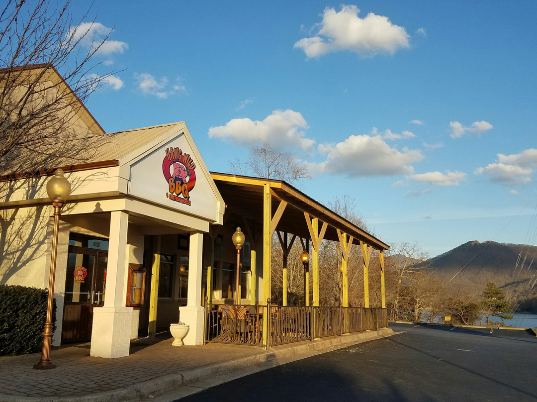 Hiawassee餐馆和美食-Hawg Wild BBQ & Catfish House