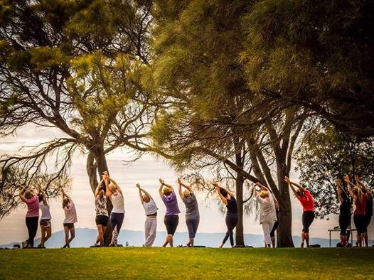 Yoga in the Park景点图片