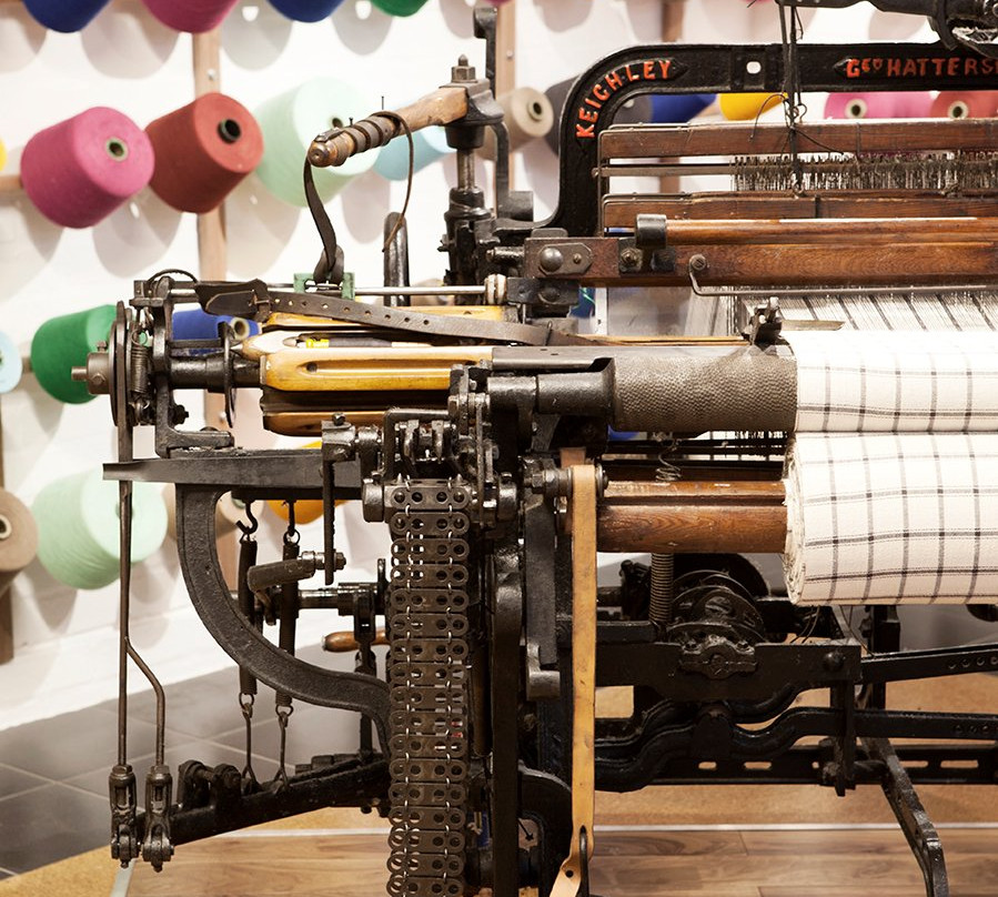 Mungo-开普敦必去景点