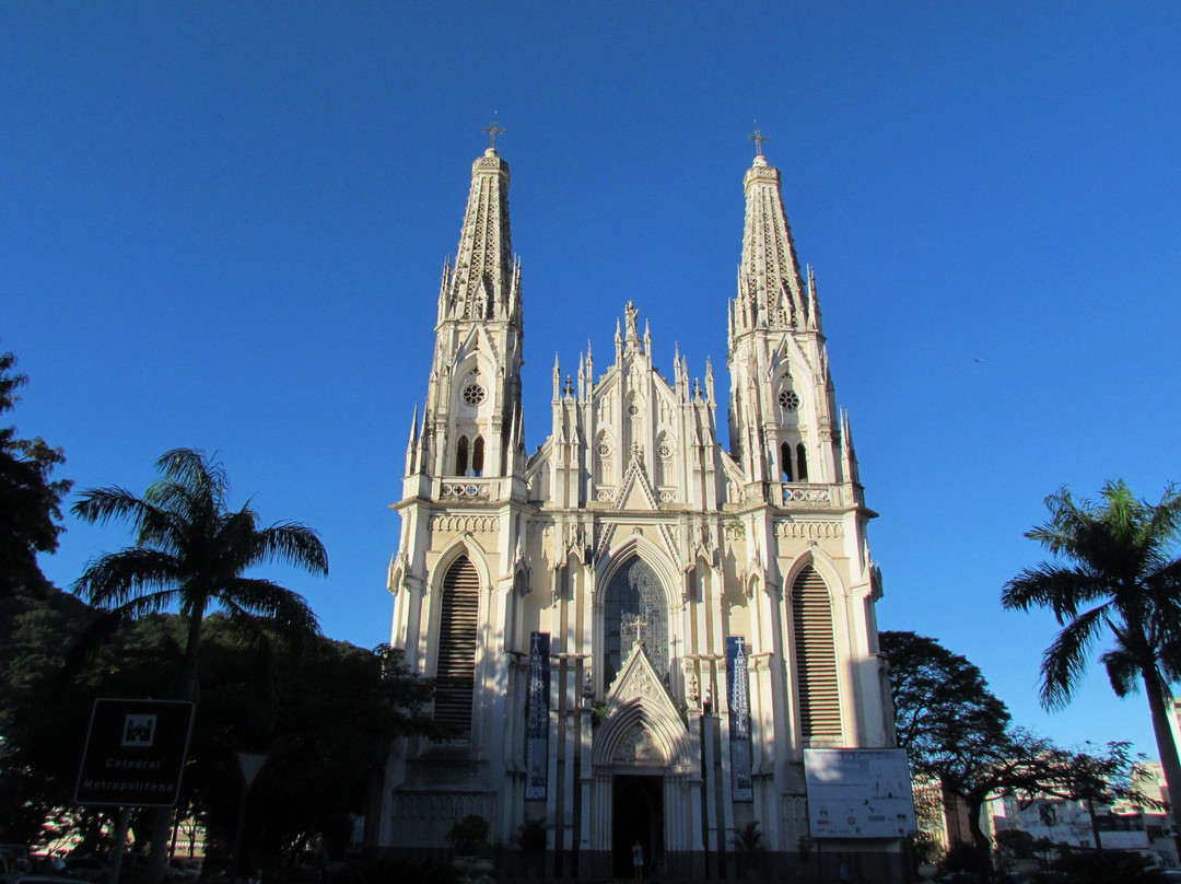 Metropolitana Cathedral景点图片