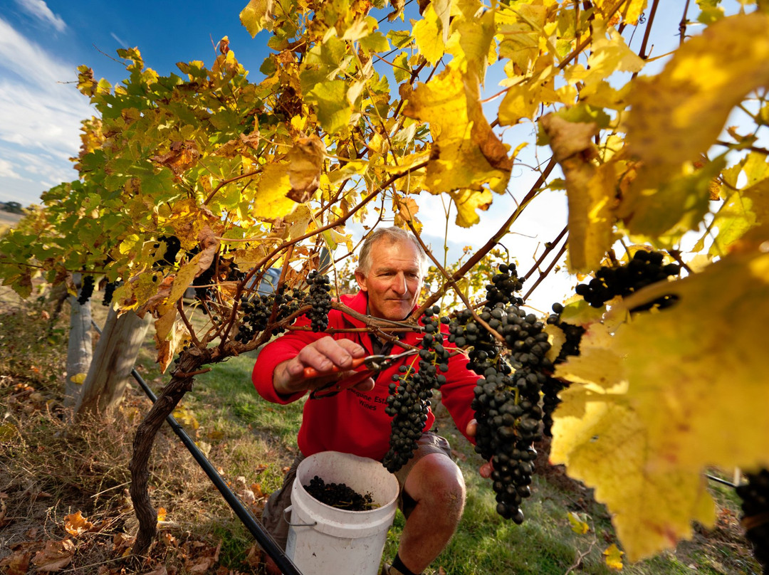 Sanguine Estate-Heathcote必去景点
