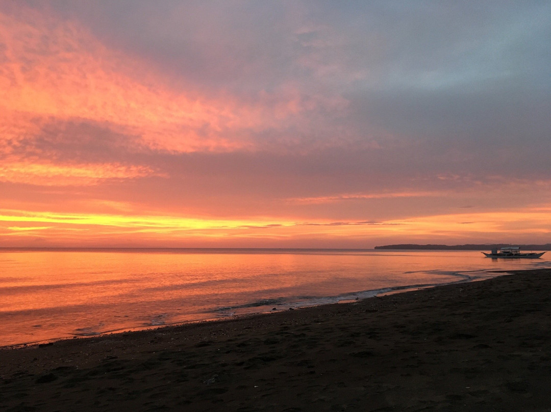 Shoreline Beach Resort主图