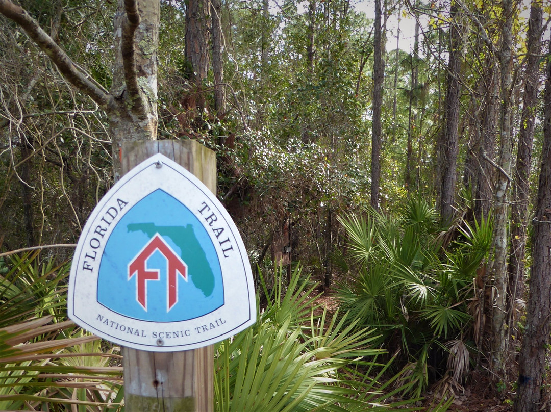 Little Big Econ State Forest-Geneva必去景点