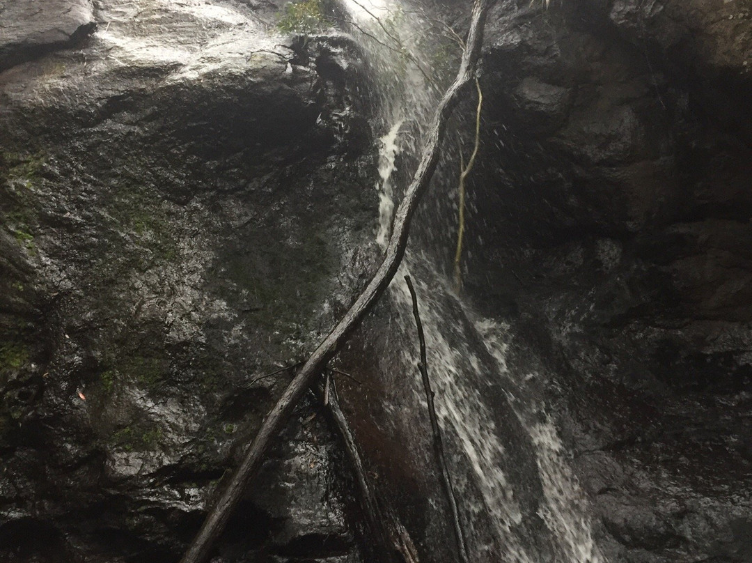 Stanley Park-马其顿山必去景点