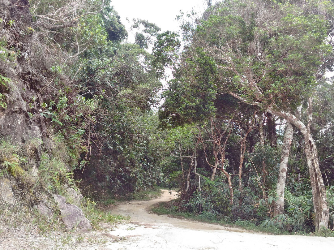 Caminho do Imperador-Paty do Alferes必去景点
