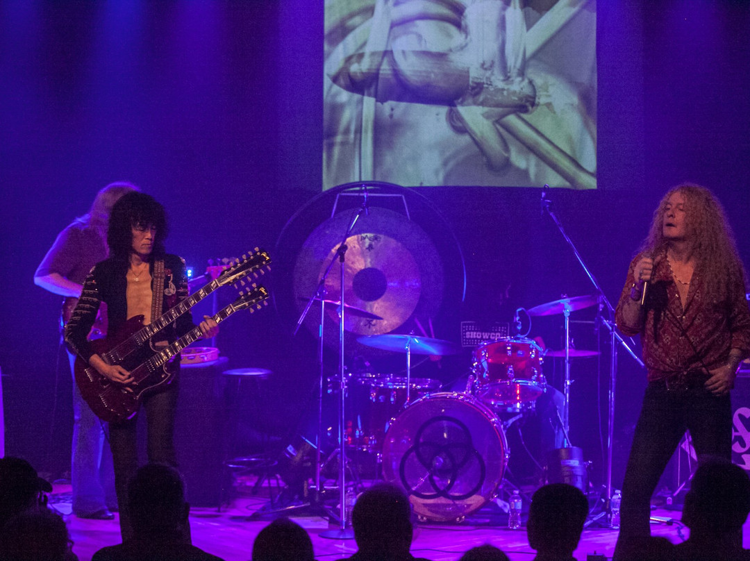 Blue Frog Studios-白石必去景点