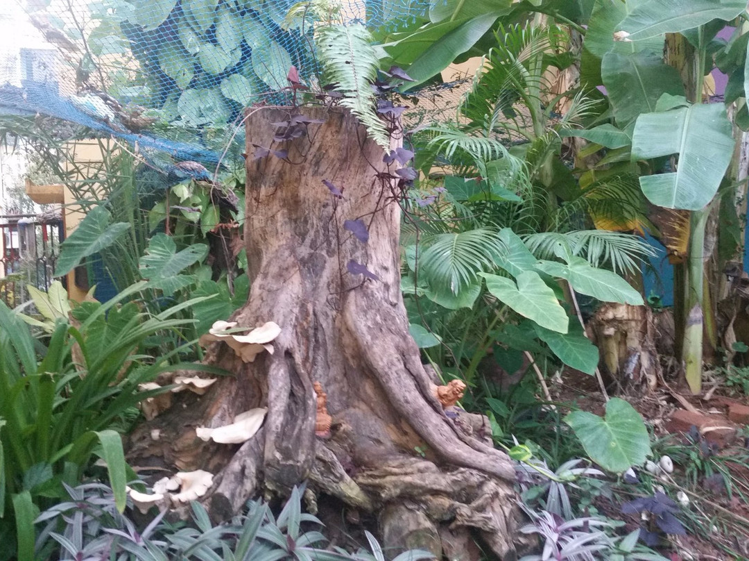 The Ganesh Garden景点图片