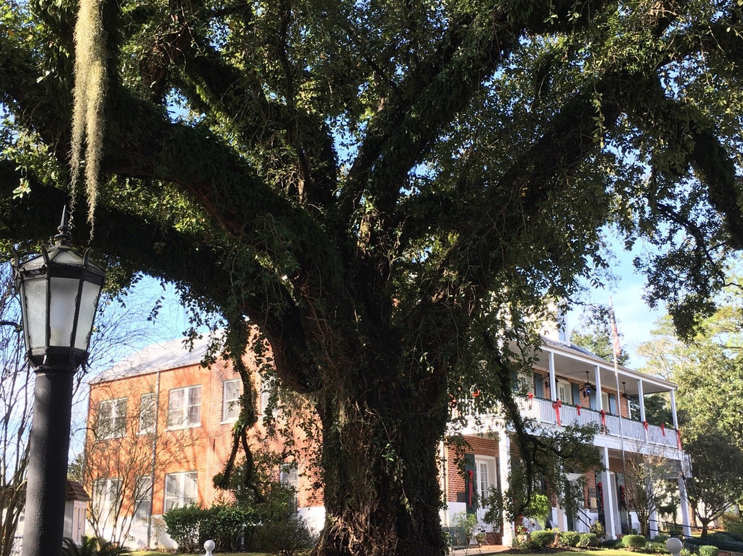Evangeline State Park景点图片