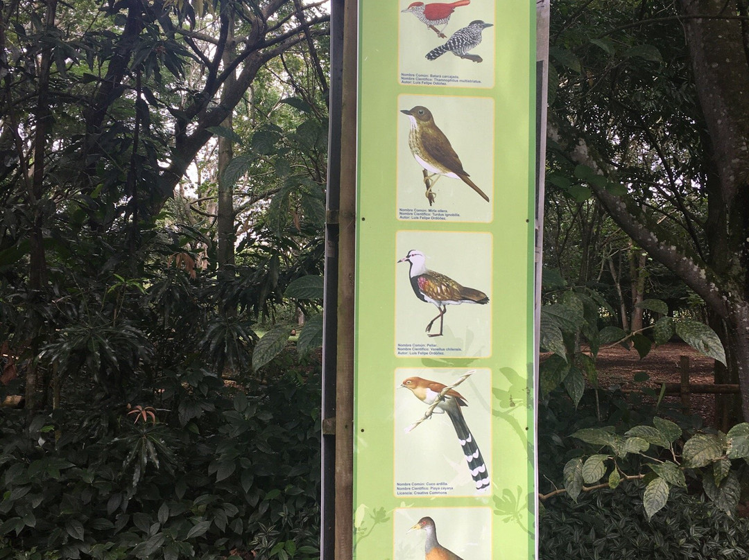 Ecoparque de las Garzas-卡利必去景点