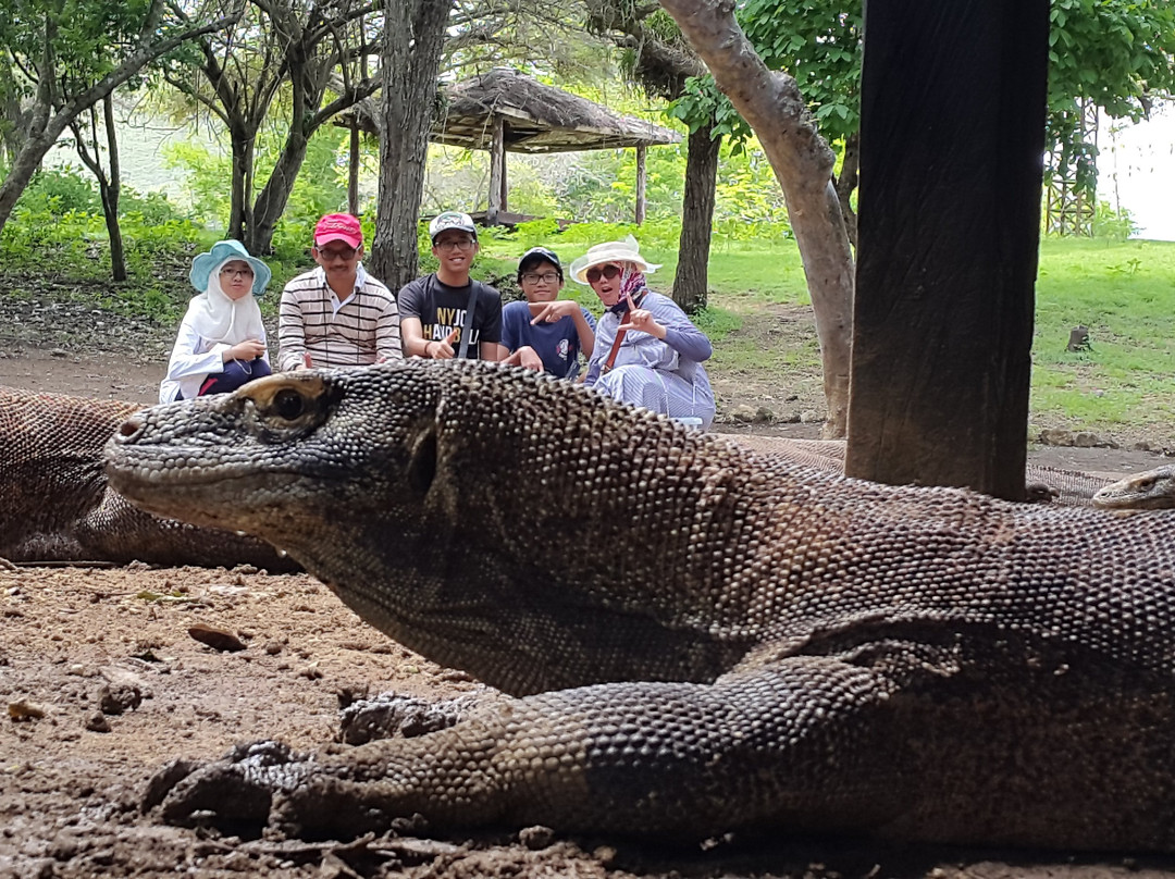 Komodo Travel景点图片