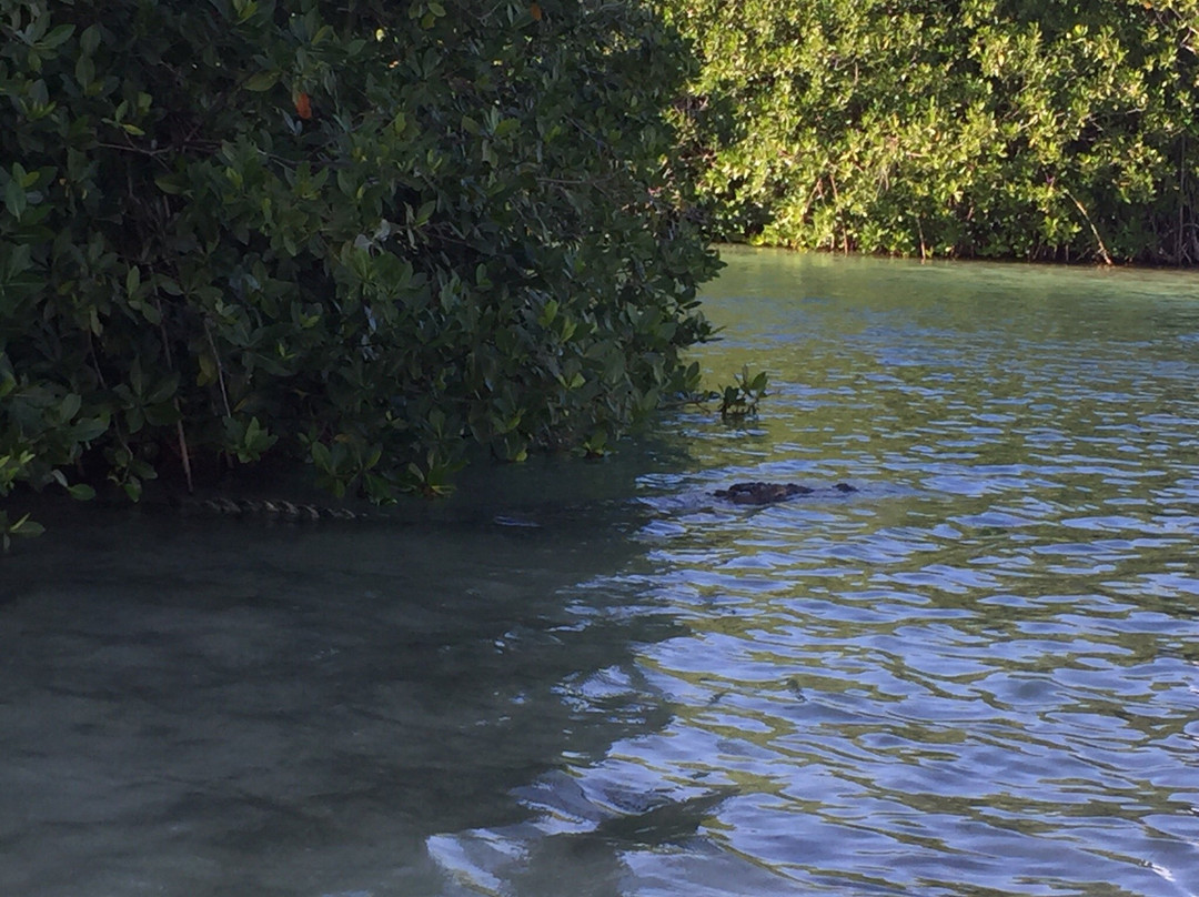 Sian Kaan Visitors Center主图