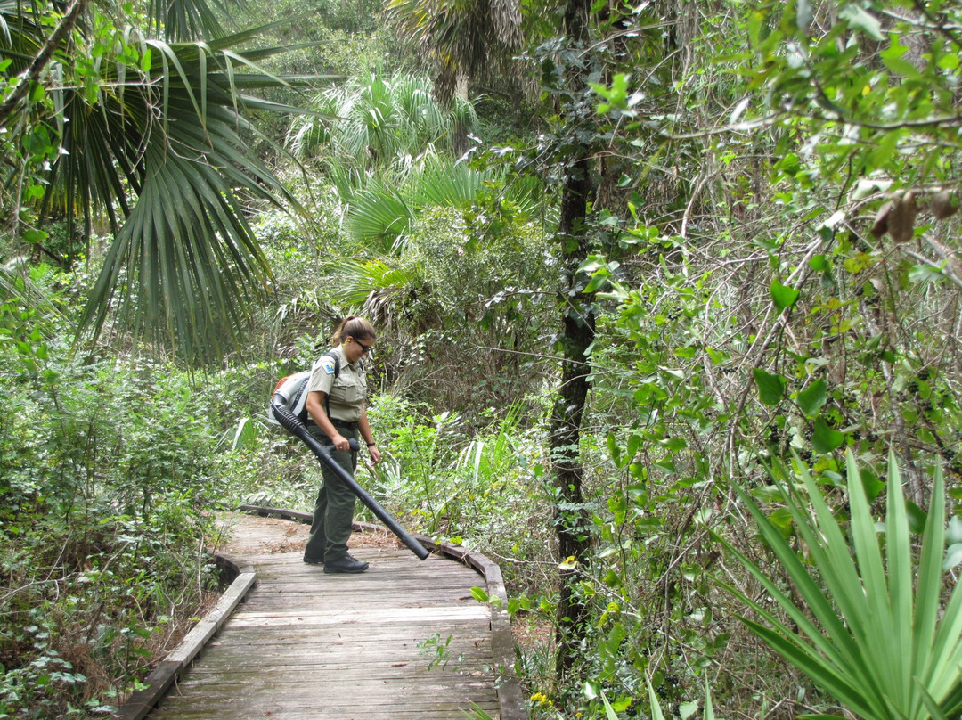 Churchhouse Hammock Boardwalk and Primitive Trails-克里斯特尔里弗必去景点
