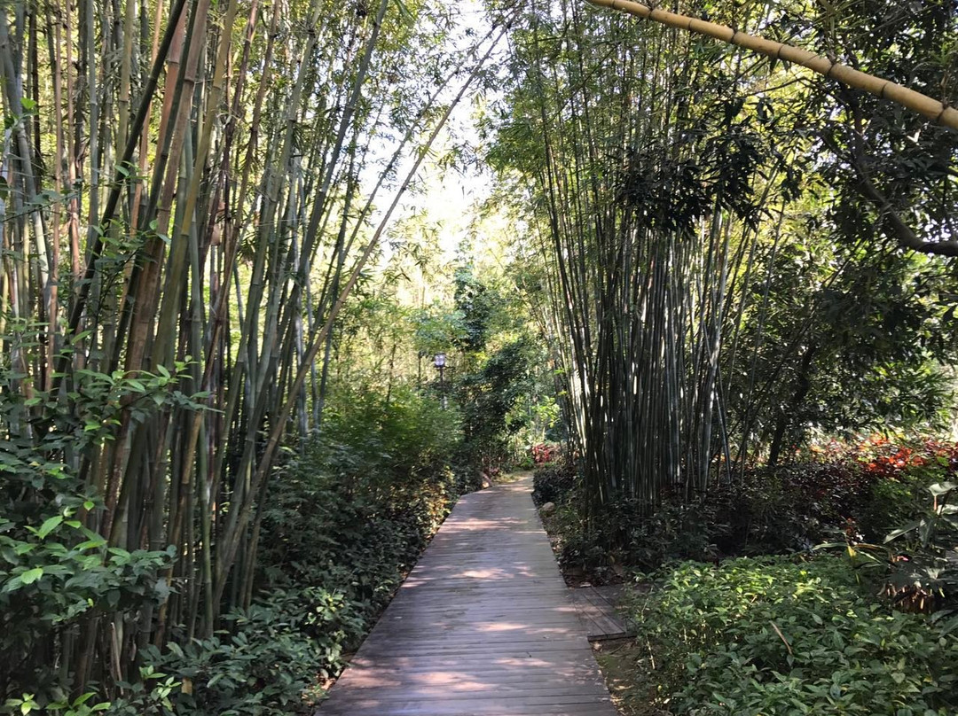 大屏障森林公园-东莞市必去景点