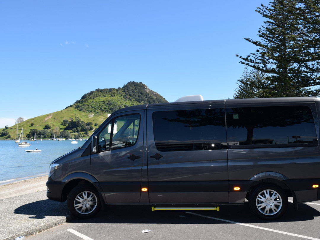 New Zealand Discovery Tours景点图片