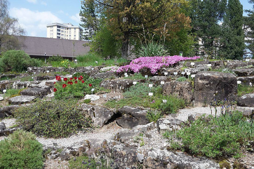 Jardin botanique de l'Université de Fribourg-弗里堡必去景点