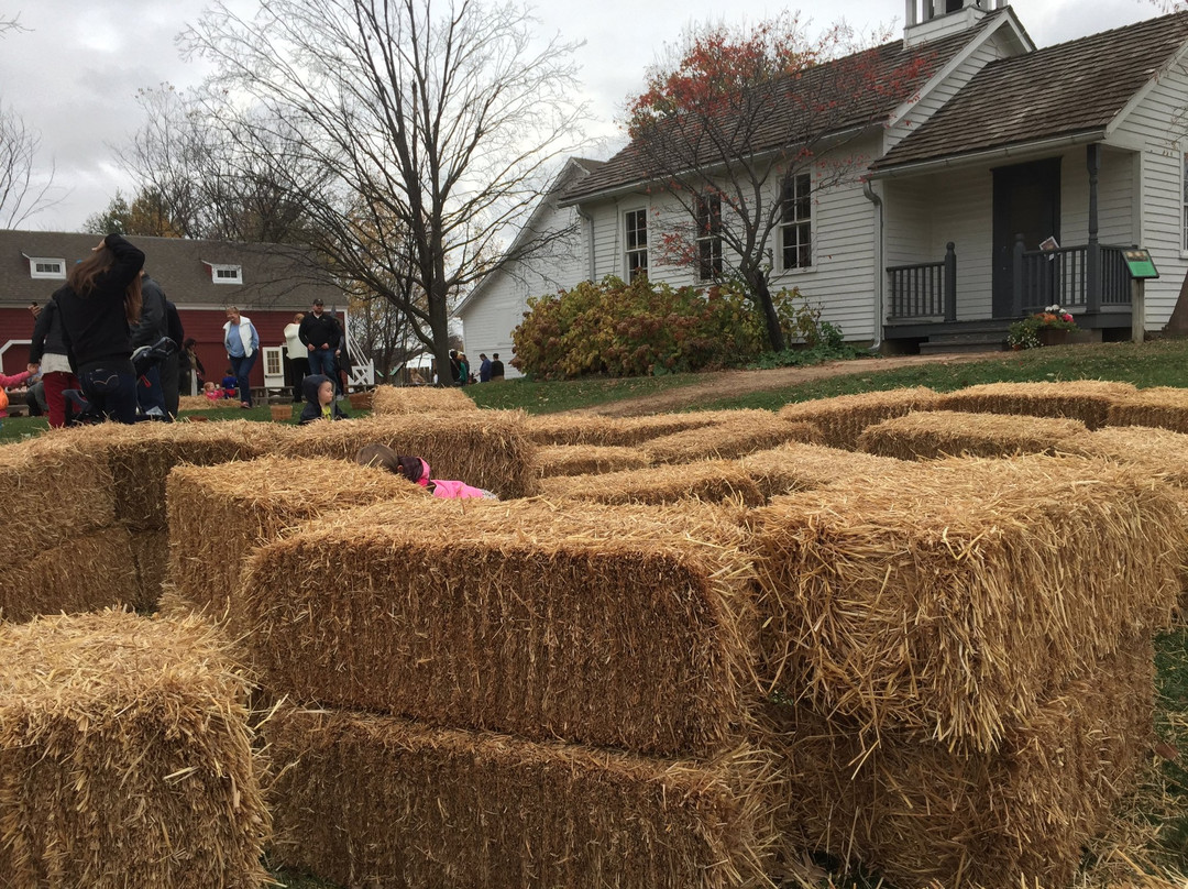 Gibbs Farm-圣保罗必去景点