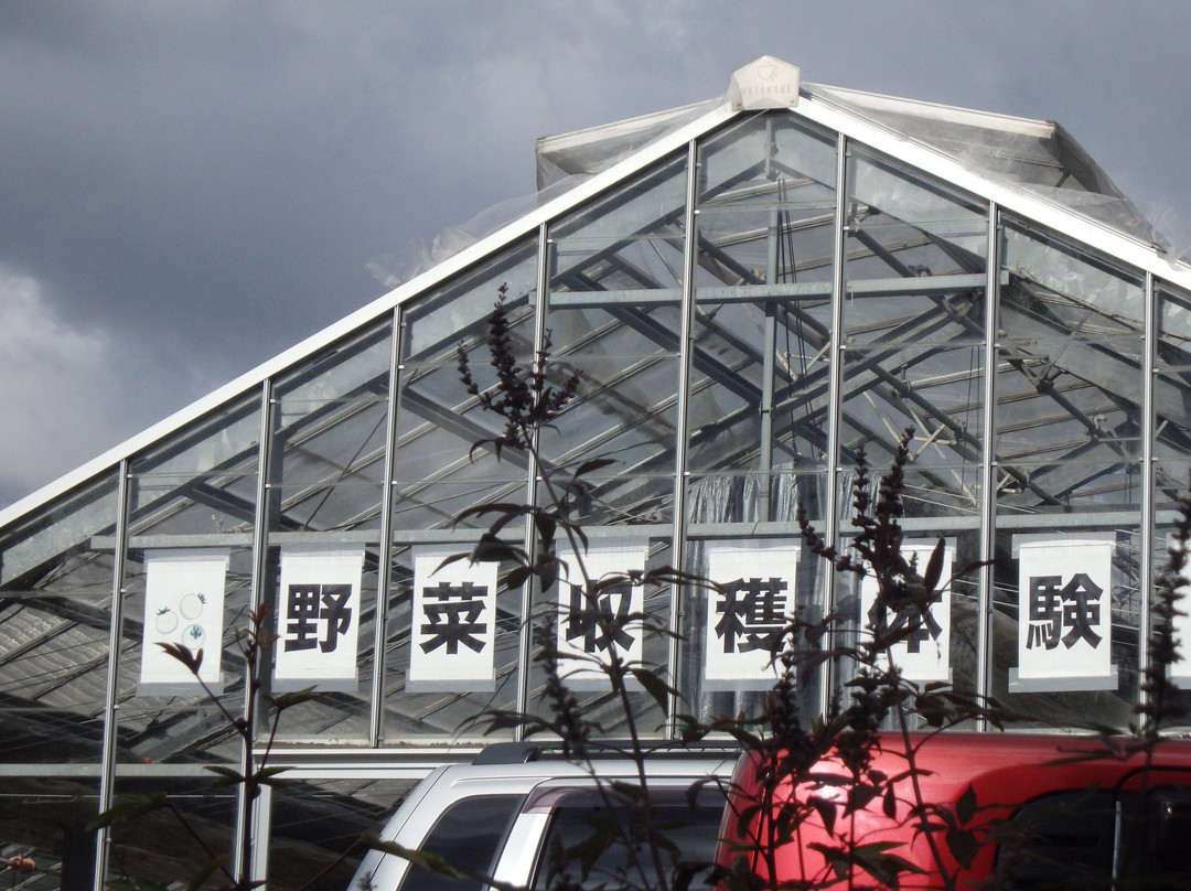 Wazuka Green Farm-和束町必去景点