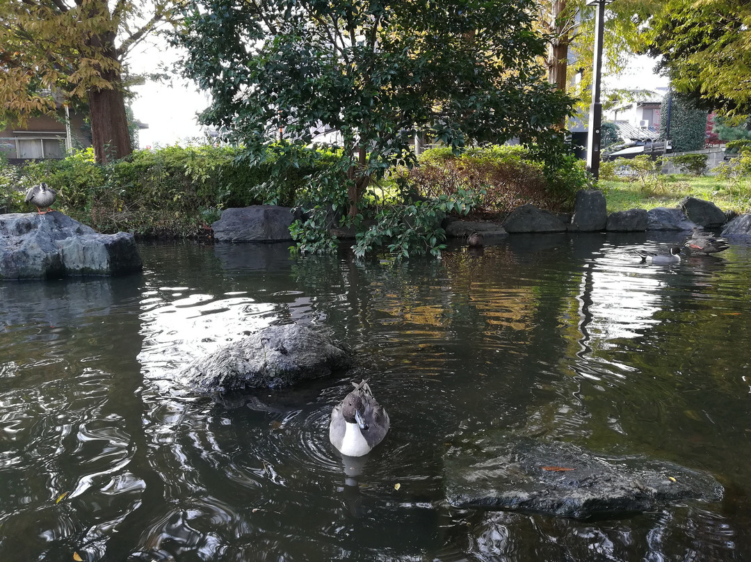 Higashiayase Park-足立区必去景点