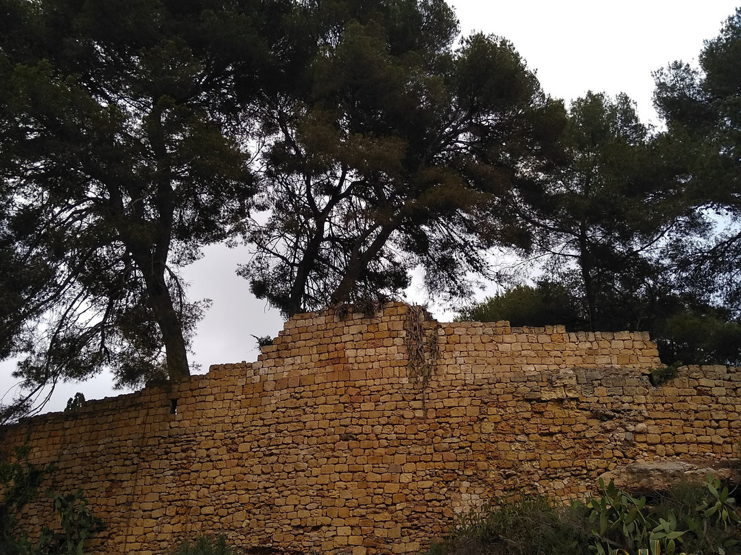 Cala Jovera-Tamarit必去景点