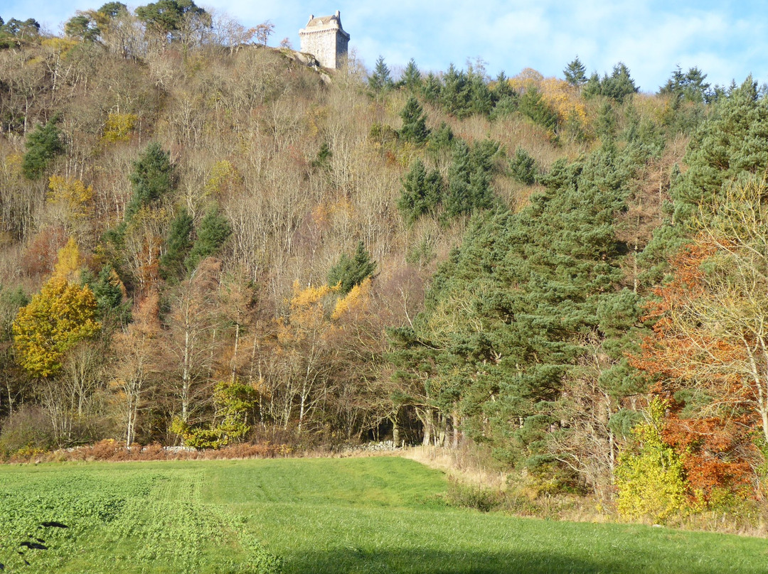 Fatlips Castle-Hawick必去景点