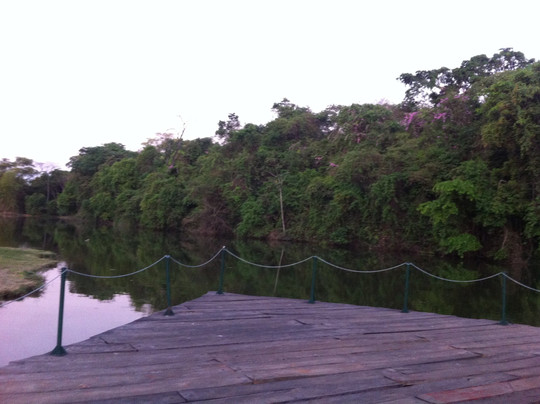 Amalia Hermano Teixeira Botanic Garden-戈亚尼亚必去景点