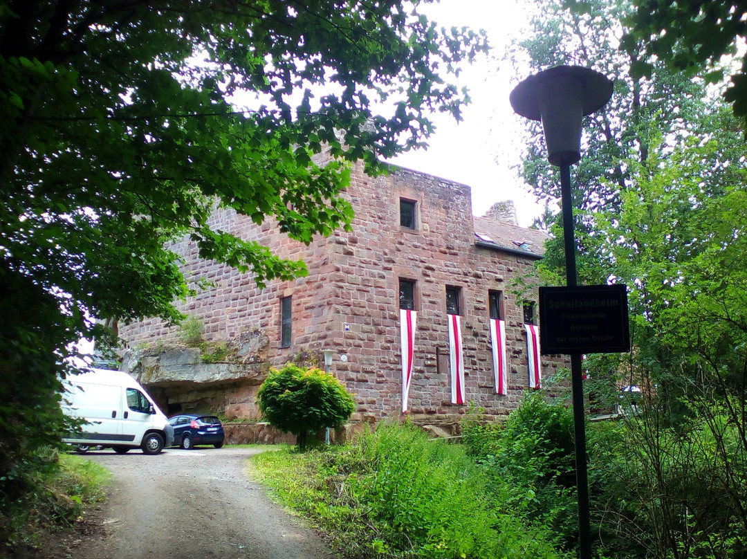 Burg Wilenstein-Flörsheim景点图片