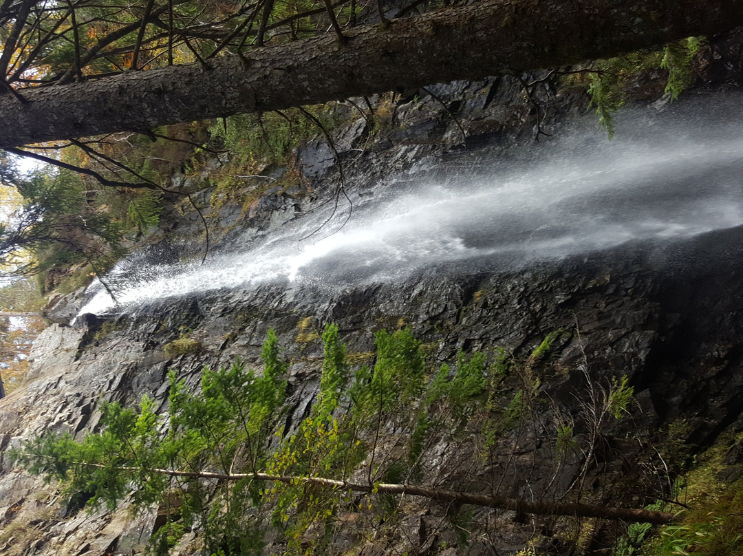 Plodda Falls景点图片
