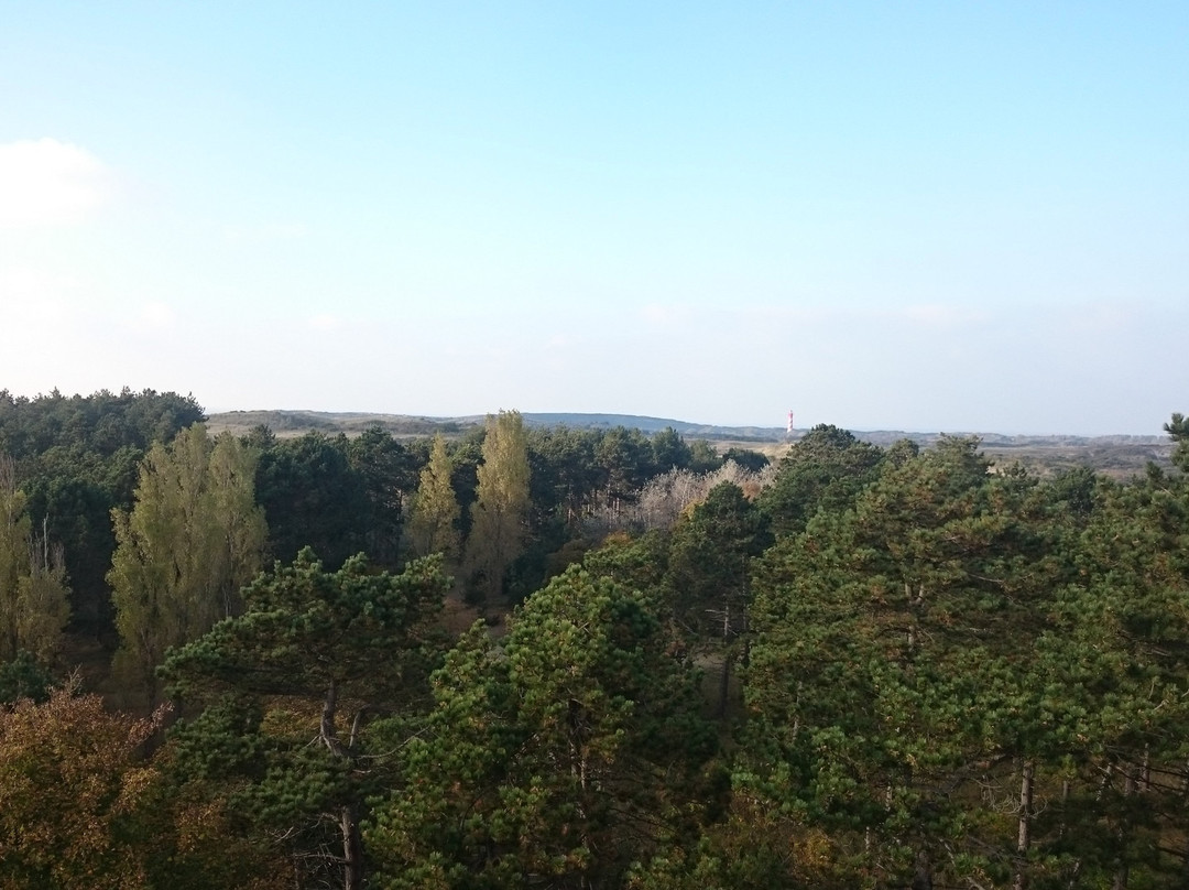 Boswachterij Westerschouwen