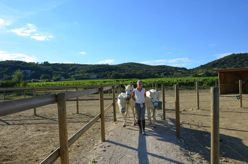 Le haras de Durfort景点图片