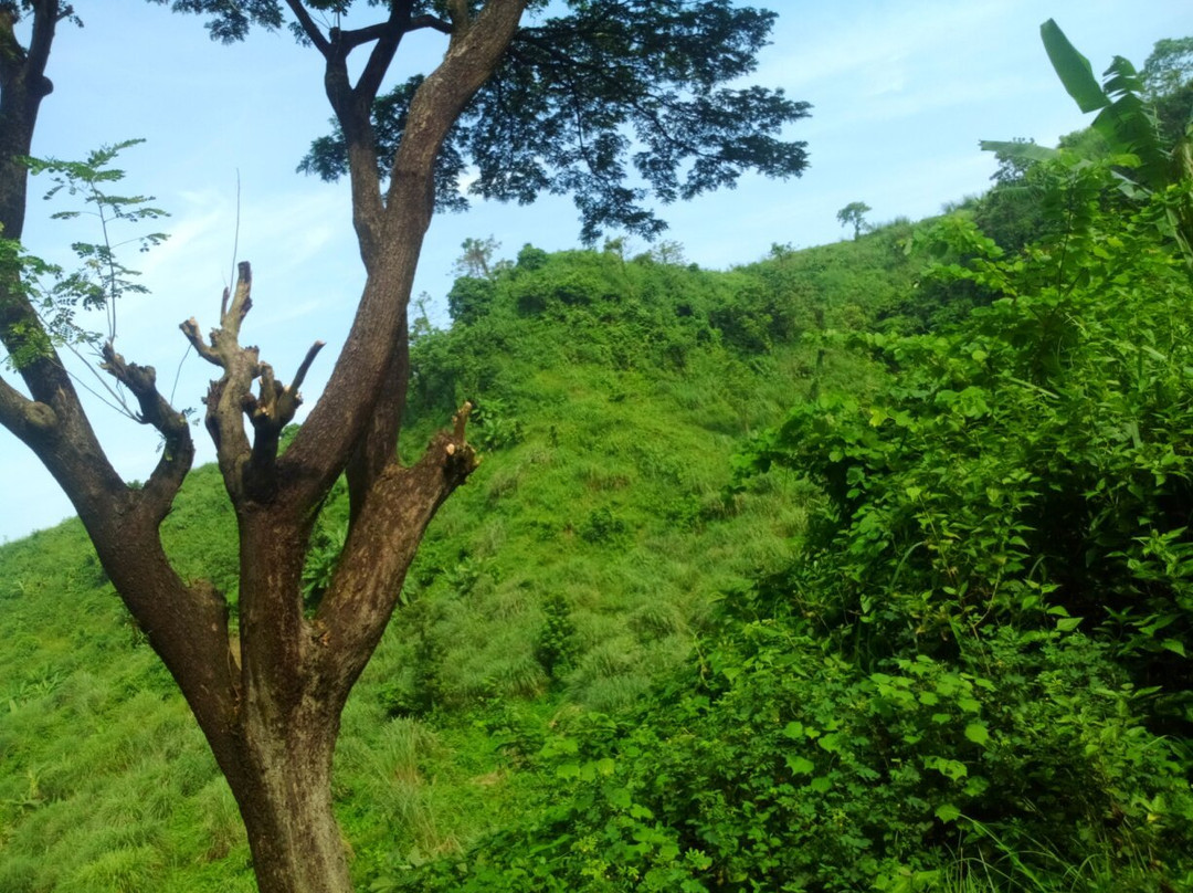 Vatiary Lake景点图片