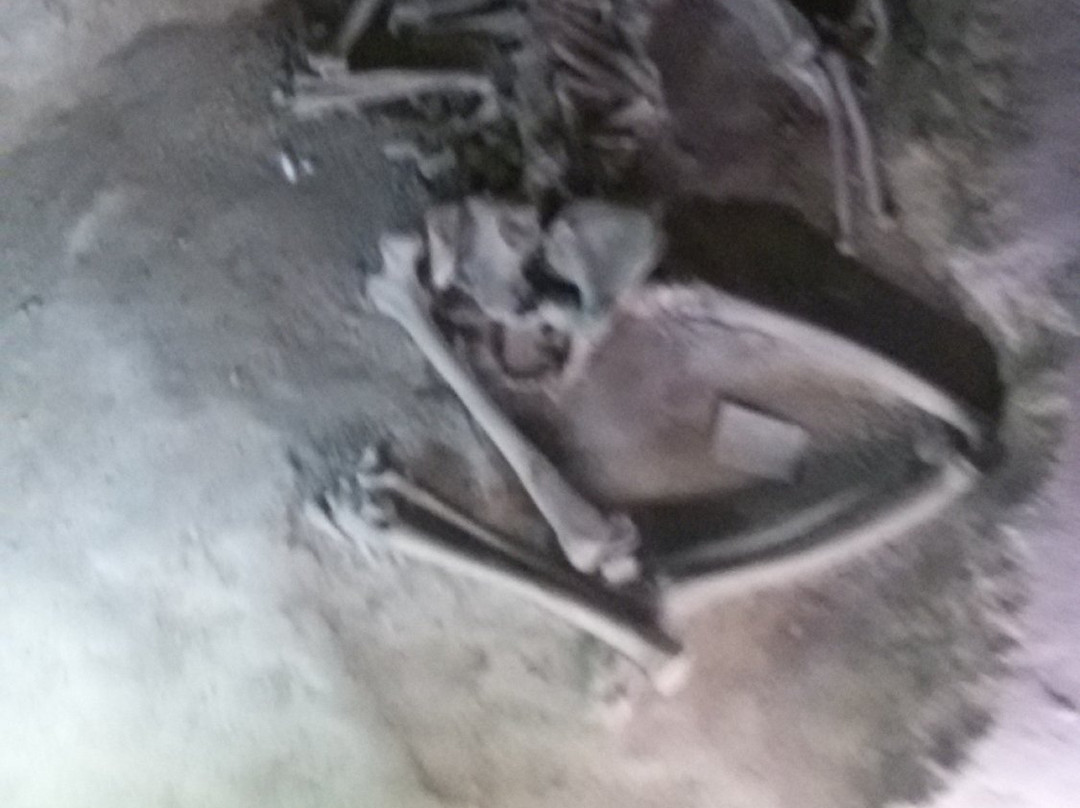 Iron Age Museum-Tabriz必去景点