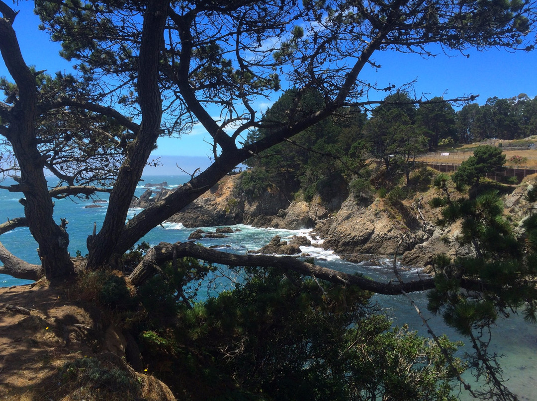 Stillwater Cove Regional Park景点图片