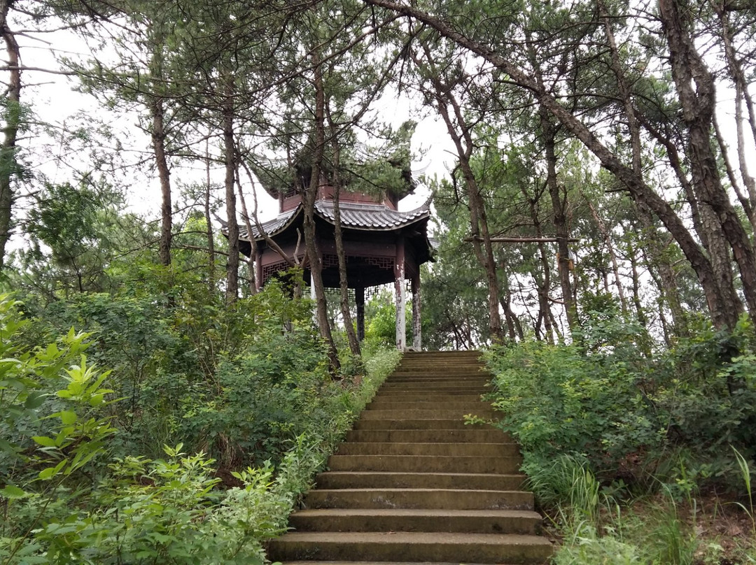 金华钓鱼矶公园-义乌市必去景点