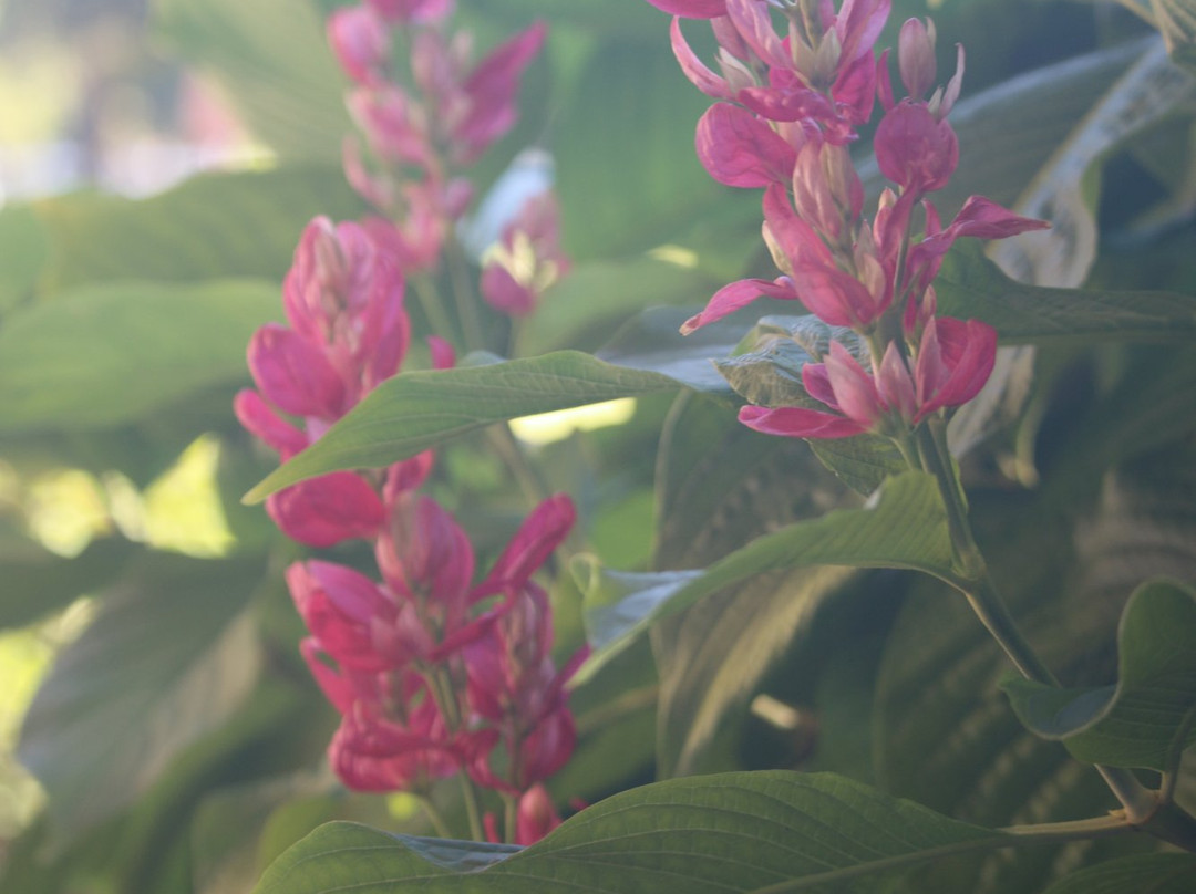 ECHO Global Farm Tours-North Fort Myers必去景点