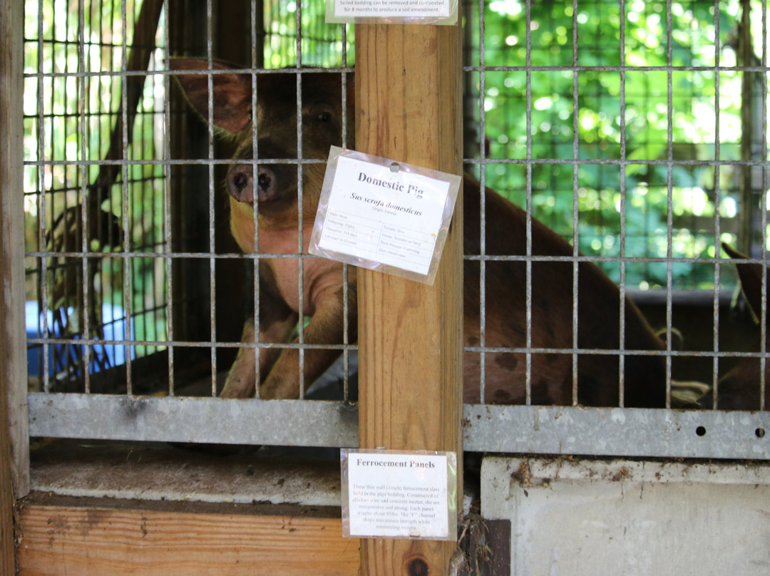 ECHO Global Farm Tours-North Fort Myers必去景点