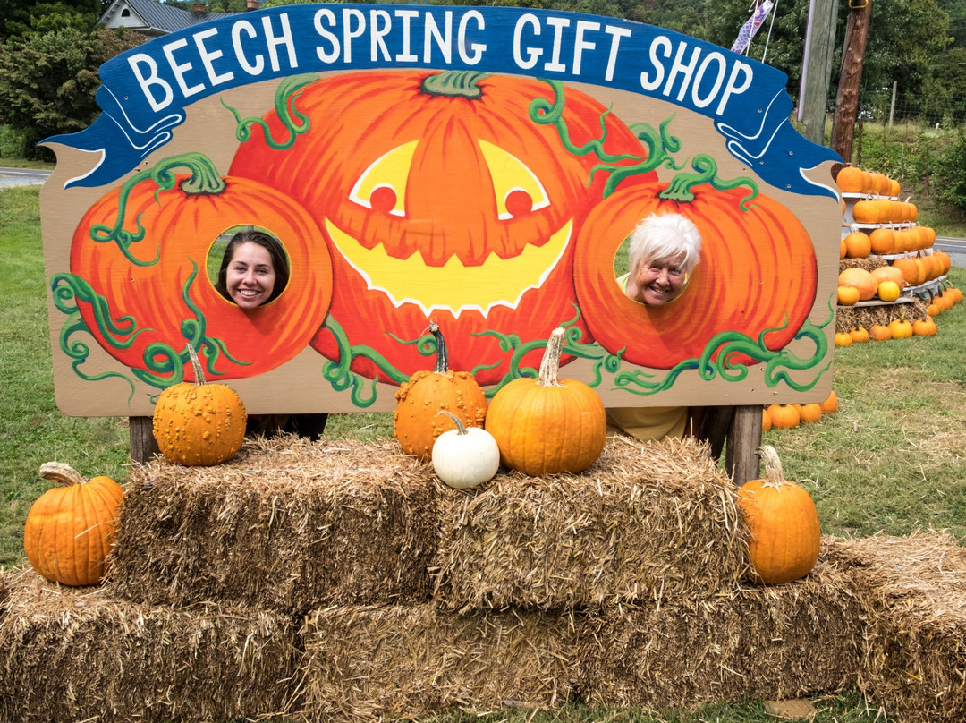 Beech Spring Gift Shop景点图片