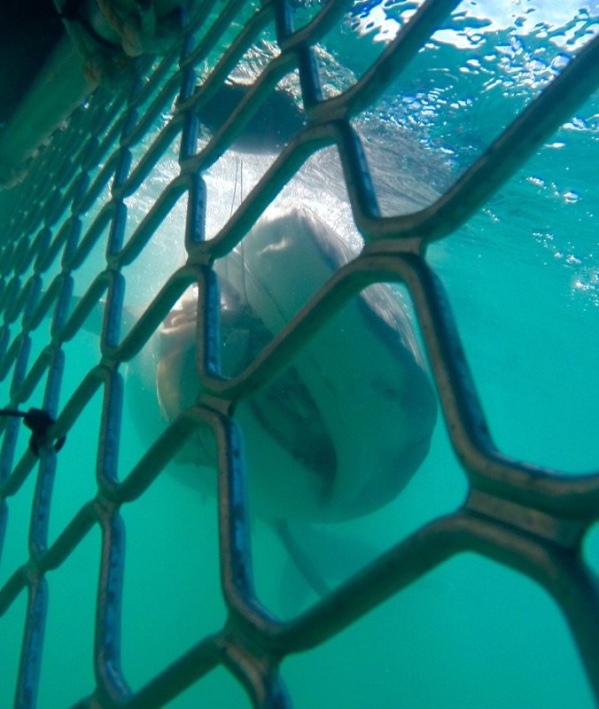 Darwin Red Devil Fishing Charters-达尔文市必去景点