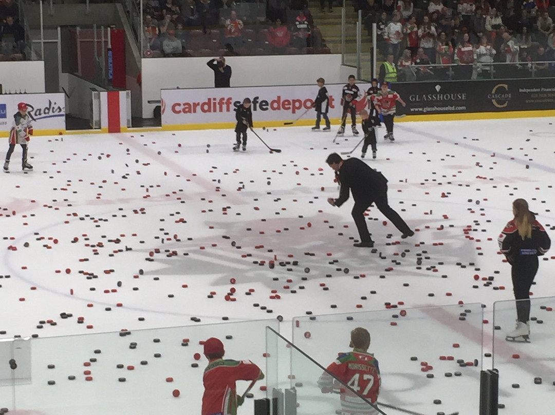 Vindico Arena-卡迪夫必去景点