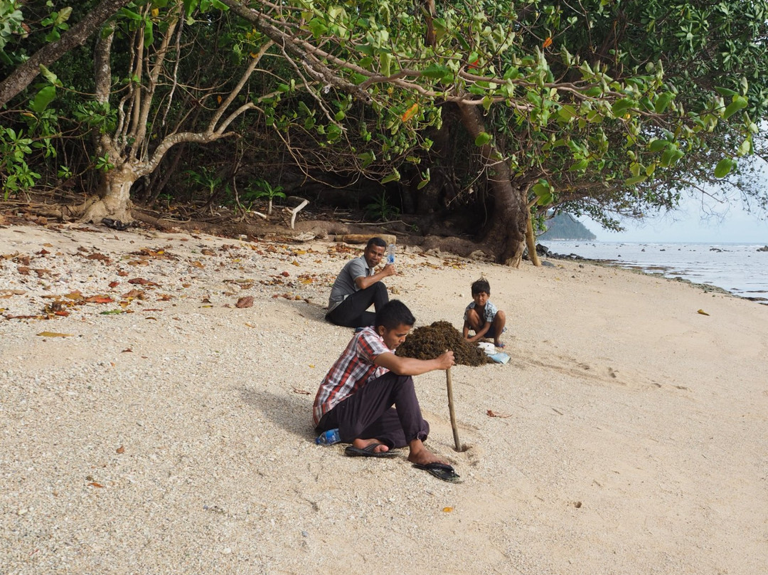 Batu Nago Island-South Pesisir必去景点