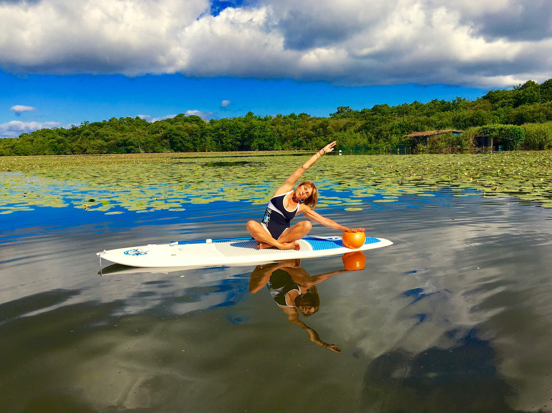 Energy Surf School into Yoga
