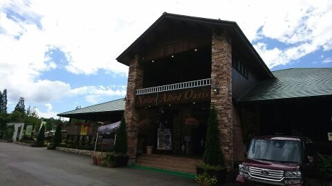 Akeno Kogen Camp Site-郡上市必去景点