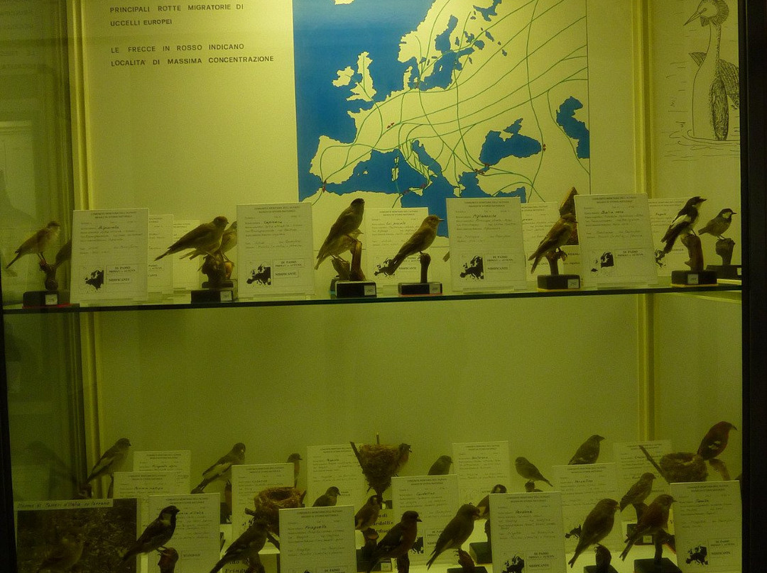 Museo di Storia Naturale-Chies d'Alpago必去景点