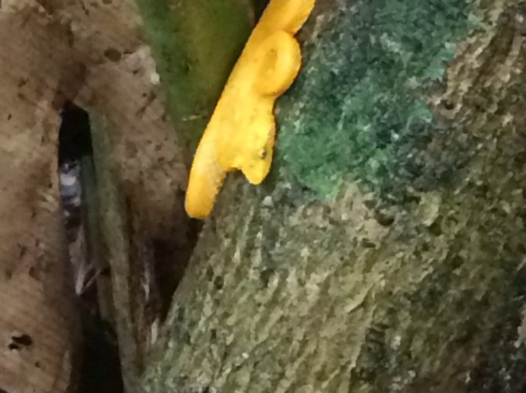 Mowglitours-托图杰多必去景点