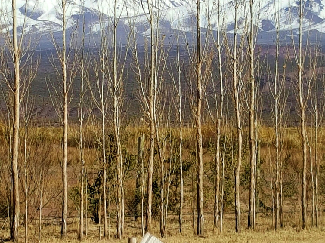 Posada Los Morrillos主图