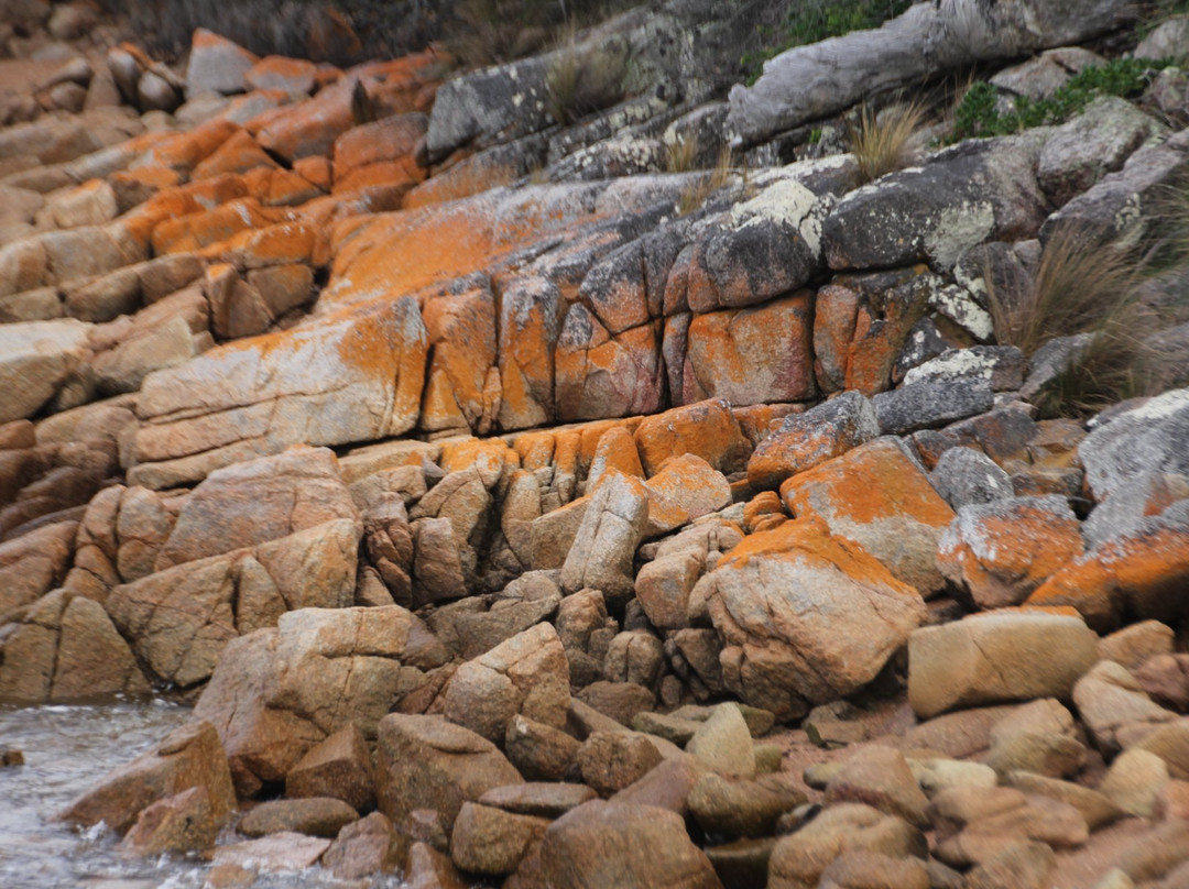 Pennicotts Wilderness Journeys Freycinet景点图片